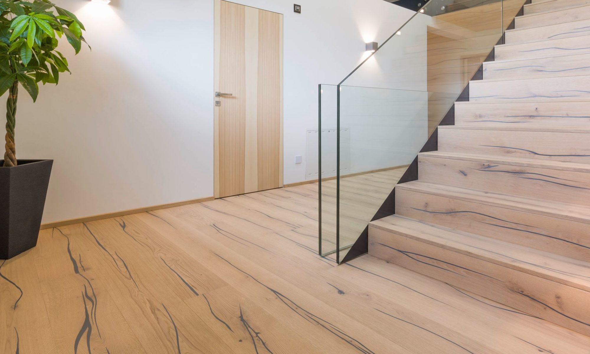 Parquet et escalier sas da fonseca